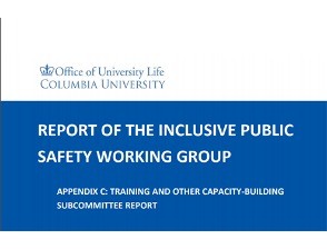 Screenshot of cover of Appendix C/Report of the Inclusive Public Safety Working Group